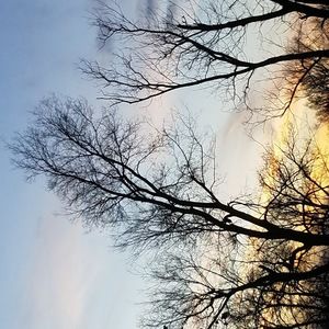 Meet your Posher, Remi